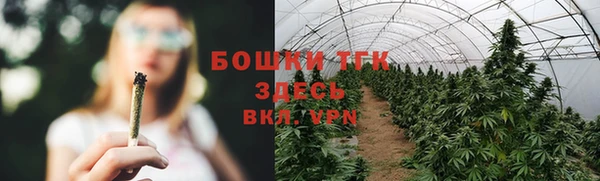 ГАЛЛЮЦИНОГЕННЫЕ ГРИБЫ Волоколамск